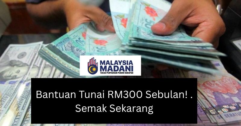 Bantuan Tunai RM300 Sebulan! . Semak Sekarang